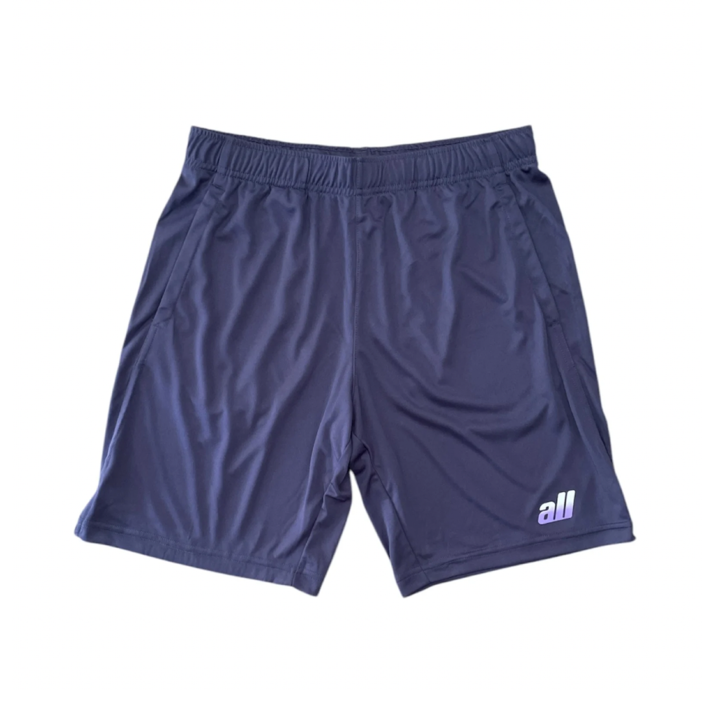 all logo dry smooth shorts(gray purple)