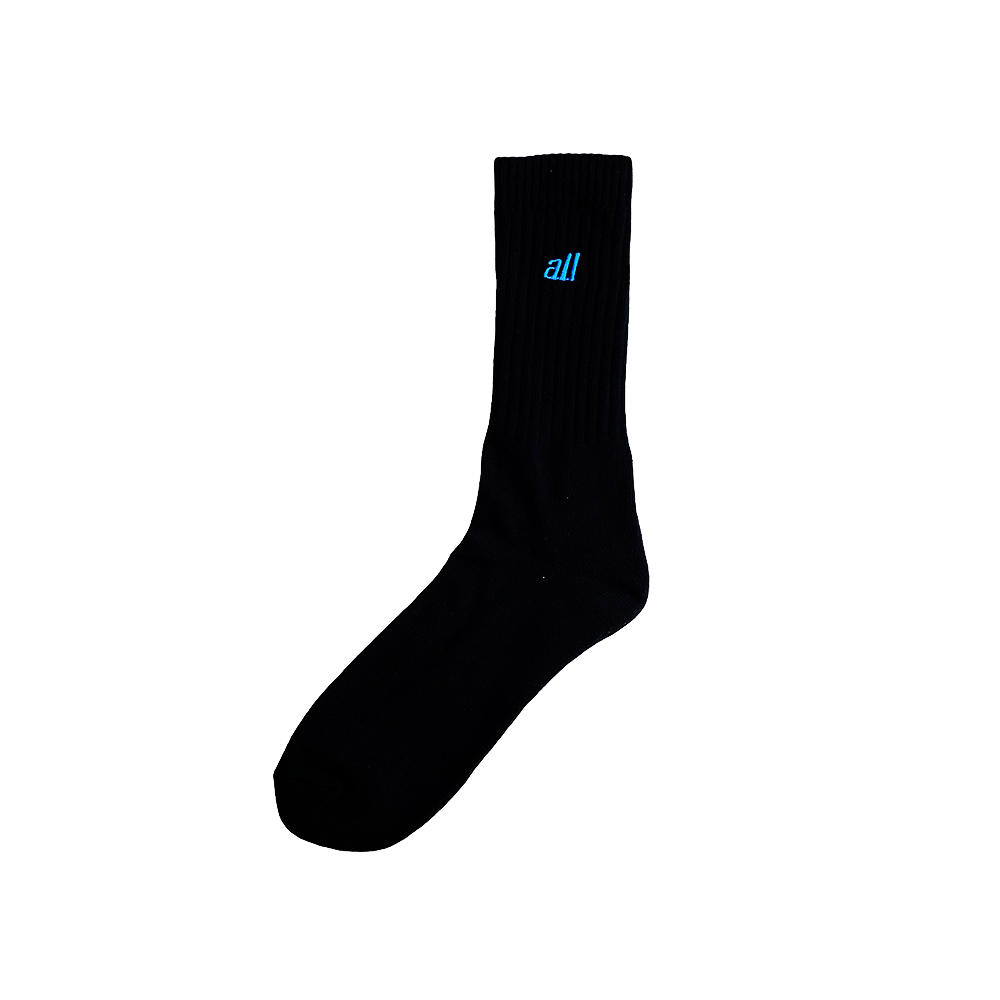 all logo street crew socks(royal)